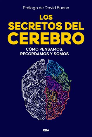 Los secretos del cerebro